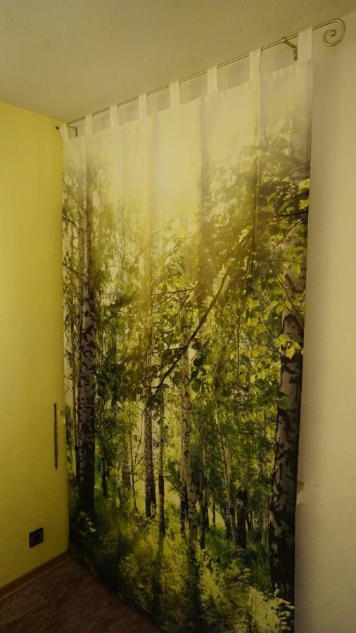 Ferienwohnung Witte Sankt Andreasberg Exteriér fotografie